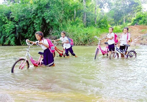 Gọi nhau trong đêm... đến trường!