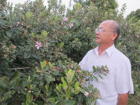 Tâm sáng trên đảo ngọc