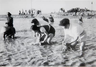 “Đại tướng nông dân”