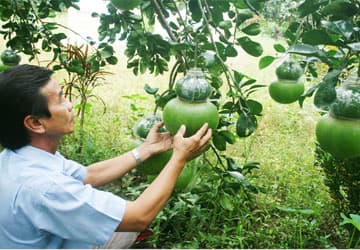 SÁNG TẠO CỦA NHÀ NÔNG