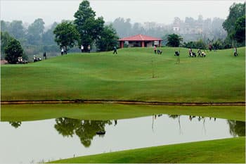 ĐẤT QUY HOẠCH SÂN GOLF LẠI THÀNH ĐẤT TRỒNG LÚA