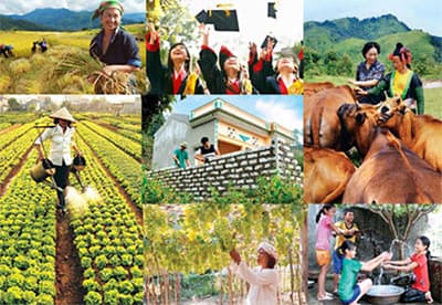 XÓA ĐÓI, GIẢM NGHÈO BỀN VỮNG