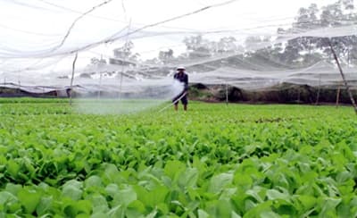 Diện mạo mới trên vùng căn cứ cách mạng