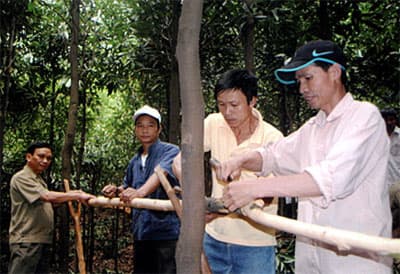 “NGÀY VÌ ĐỒNG ĐỘI”