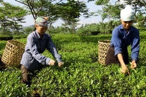 NIỀM TIN CỦA NGƯỜI TIÊU DÙNG