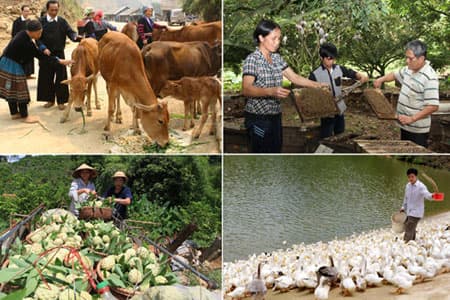 PHẦN THƯỞNG CHO HỘ THOÁT NGHÈO