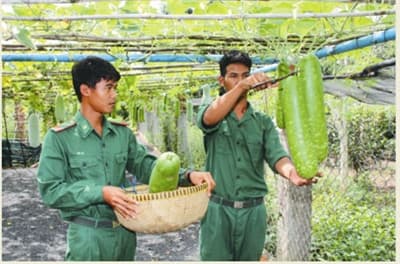 Kết quả nổi bật qua 5 năm thực hiện tiêu chí công tác hậu cần-tài chính ở đồn biên phòng