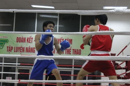 TP Hồ Chí Minh: 150 VĐV tranh tài tại Giải vô địch Boxing mở rộng