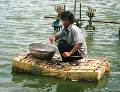 VÌ SAO NÔNG DÂN NGẠI BẢO HIỂM TÔM?